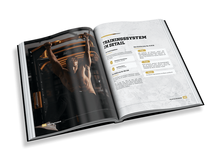Lean&Massive Bundle Box